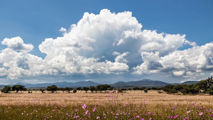 UP Weather: कानपुर, अमेठी समेत तमाम इलाकों में आज का मौसम शुष्क रहेगा
