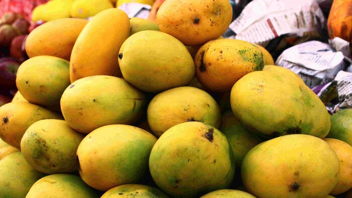 Lucknow: मलिहाबाद मंडी शहर की सबसे अत्याधुनिक आम की मंडी होगी.