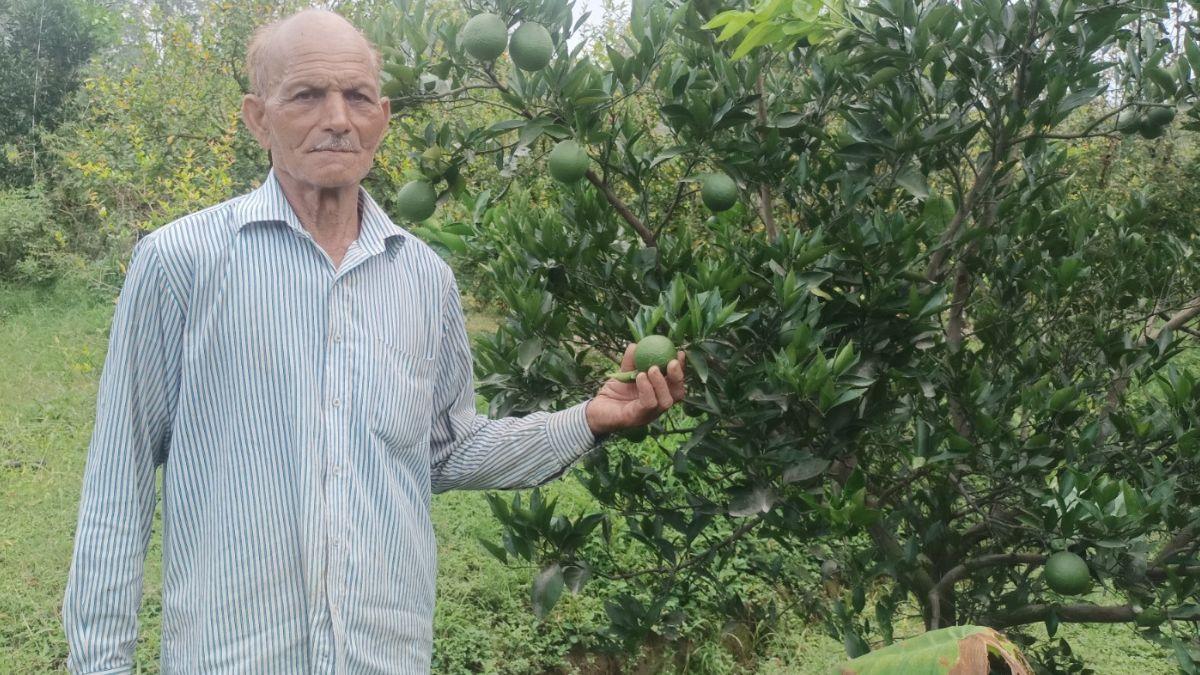 आर्मी से रिटायर होने के बाद 70 की उम्र में शुरू की बागबानी (फोटो- किसान तक)