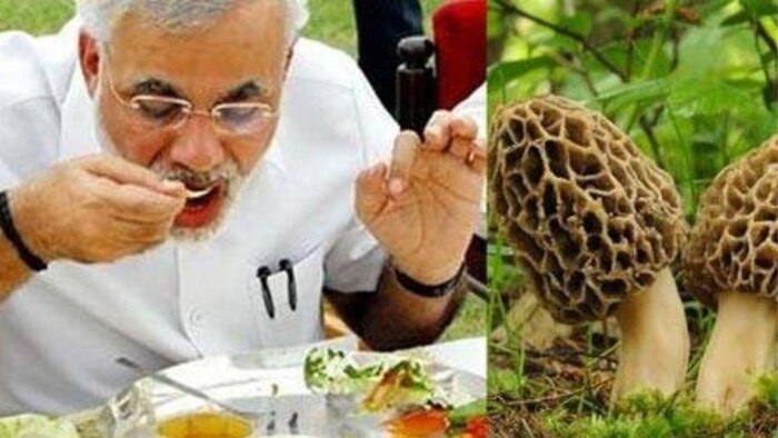 PM Modi का खान-पान है खास जो रखता है उन्हें फिट