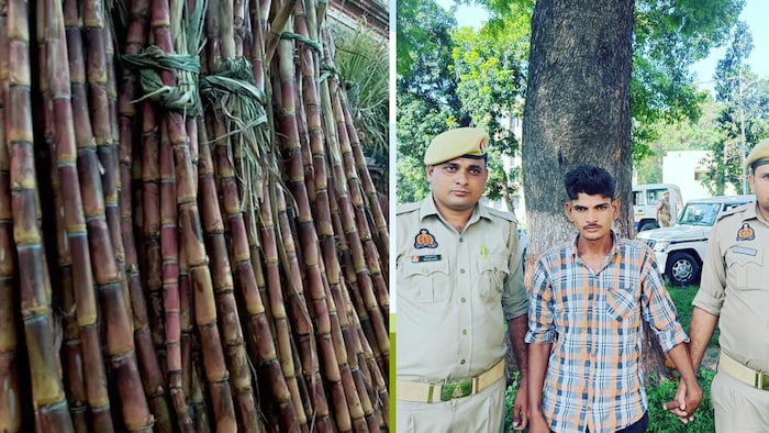 Hardoi: गन्ना तोड़ने पर 5वीं में पढ़ने वाले बच्चे की हत्या