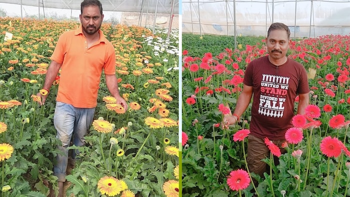 Barabanki: अच्छी कमाई के साथ आज लोगों को दे रहे हैं रोजगार (फोटो-किसान तक)