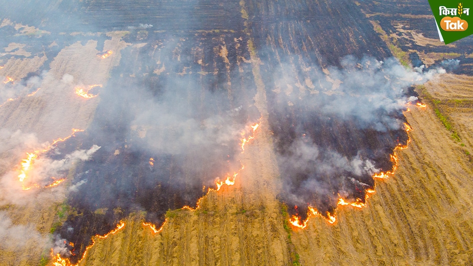 Stubble Burning: यूपी में 65% कम हुई पराली जलाने की घटनाएं! सामने आया आंकड़ा, जानिए कैसा हुआ बड़ा बदलाव Stubble Burning: यूपी में 65% कम हुई पराली जलाने की घटनाएं! सामने आया आंकड़ा, जानिए कैसा हुआ बड़ा बदलाव