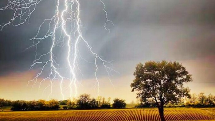 किसानों को दुर्घटनाग्रस्त होने पर मिलेगा मुआवजा