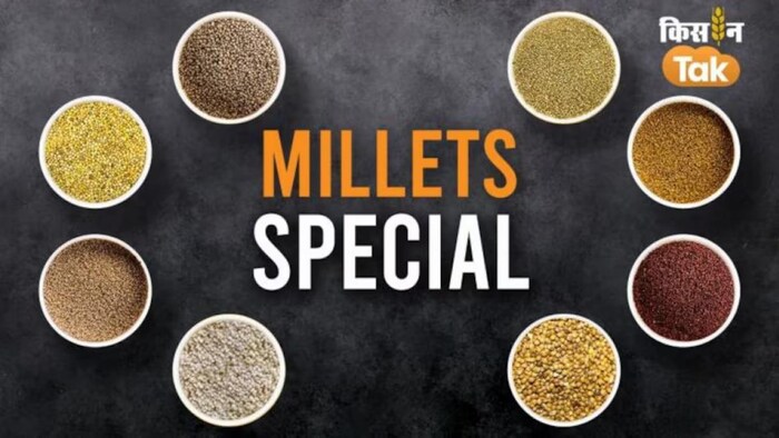 बाजरा अनुसंधान केन्द्र में बढ़ेगी बाजरे की उम्र, बनेंगे 20 से ज्यादा प्रोडक्ट