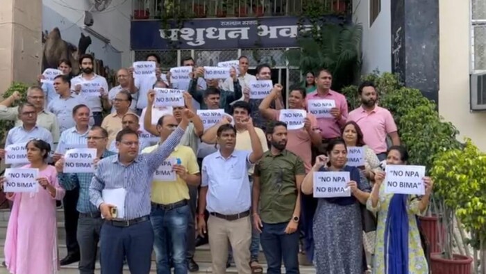 क्यों हड़ताल पर हैं राजस्थान के वेटनरी डॉक्टर्स, क्या है NPA जिसकी मांग हो रही?