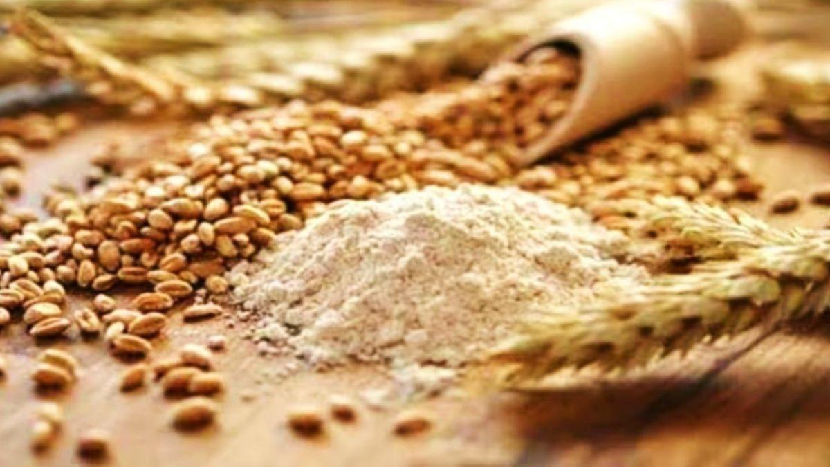 चार राज्यों में हुआ र‍िकॉर्ड गेहूं उत्पादन, अगले साल के ल‍िए रोडमैप तैयार 