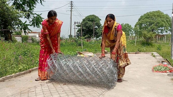 छत्तीसगढ़ में ग्रामीण महिलाओं ने खेतों की सुरक्षा के लिए जाली तार फेंसिंग बनाने का कारोबार शुरू किया, फोटो: साभार छग. सरकार