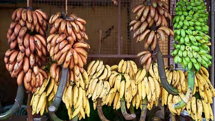 भरी नवरात्रि में क्यों बढ़े केले के दाम, इन दो वजहों से भाव में लगी आग