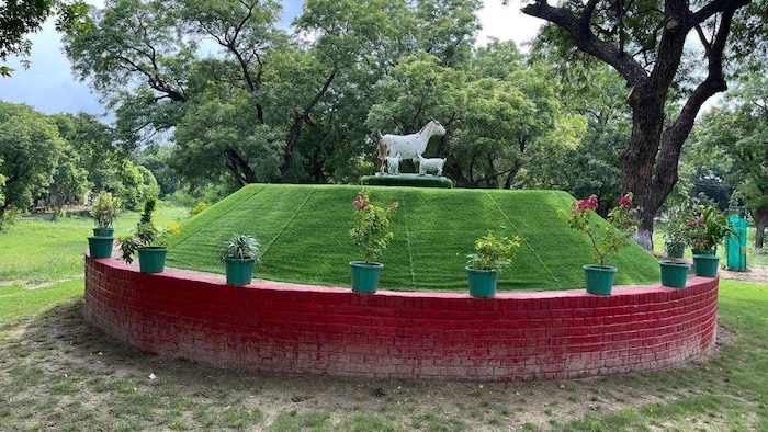 सीआईआरजी में लगा बरबरी बकरी का स्टेच्यू. फोटो क्रेडिट-किसान तक