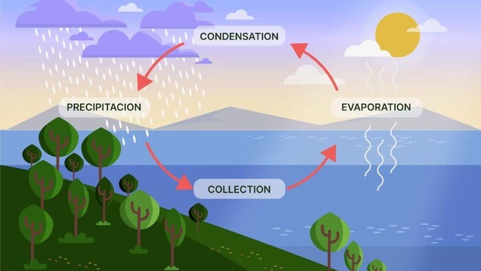 जलवायु परिवर्तन का असर फसल चक्र पर पड़ने से बढ़ी किसानों की मुसीबत, फोटो: साभार, फ्रीपिक