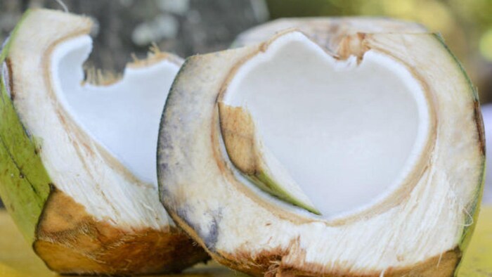 अब नारियल की मलाई से बनेंगे कपड़े