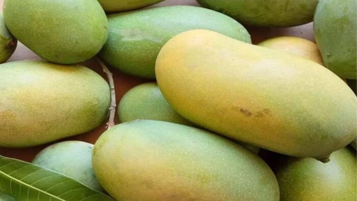 देश में दशहरी आम के लिए कौन-सा नगर है प्रसिद्ध