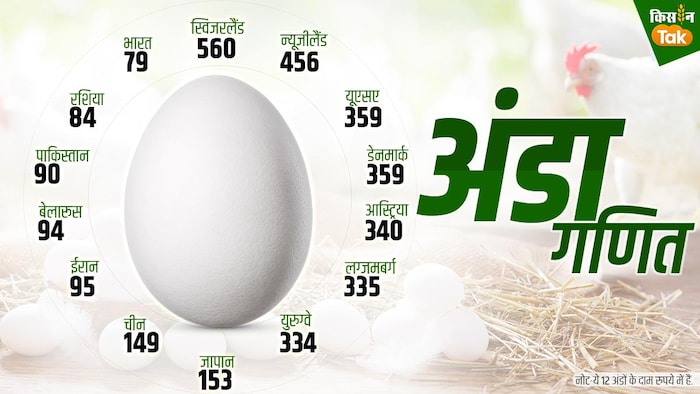 पढ़ें देश-दुनिया में कहां-कितने का बिक रहा है अंडा. ग्राफिक्स क्रेडिट-संदीप भारद्धाज