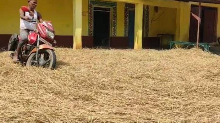 किसान मोटरसाइकिल से धान की मिसाई करते हुए