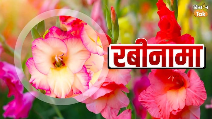 ग्लेडियोलस की खेती में किसान पा सकते हैं बेहतर मुनाफा