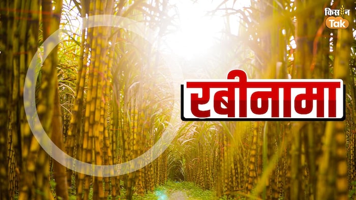 गन्ने की अलग-अलग किस्मों से किसान कर सकते हैं कमाई