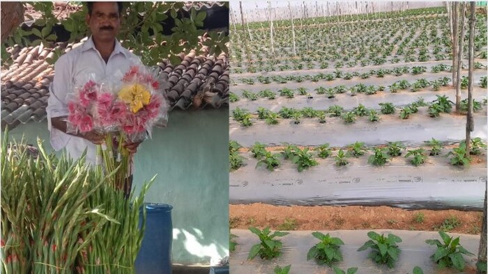 गंदूरा उरांव और उनका खेता फोटो किसान तक