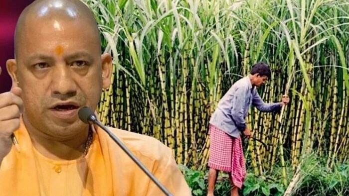 किसानों को हुआ बकाया गन्ना भुगतान