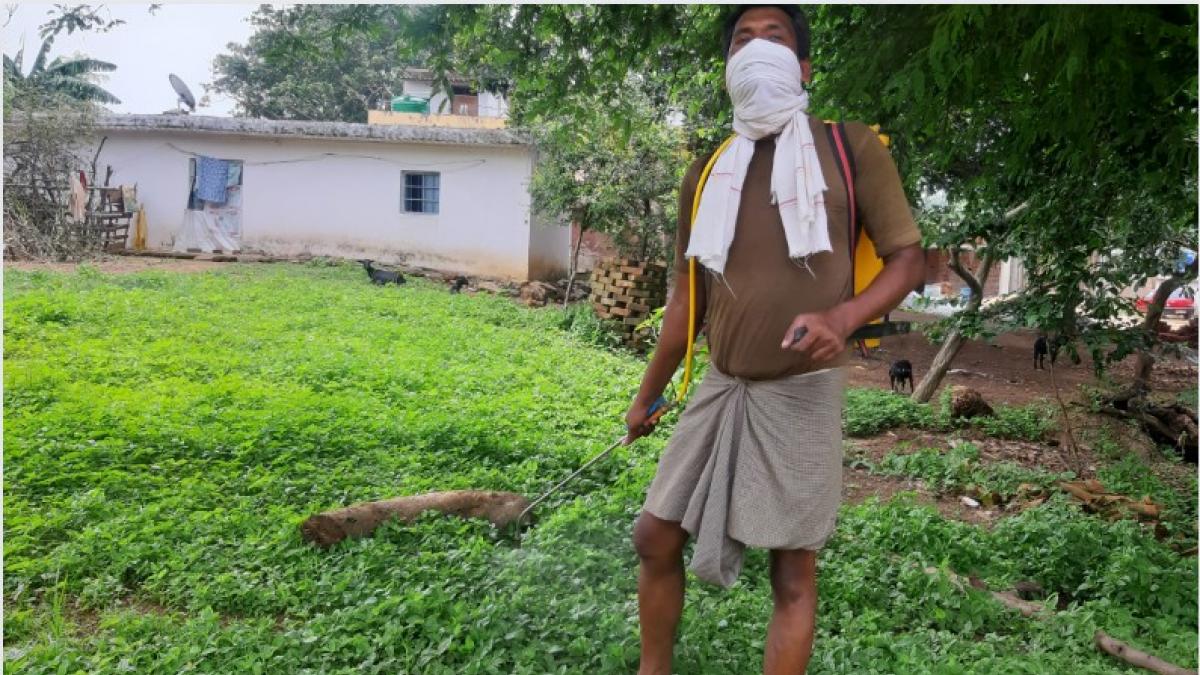 ओडिशा में जहरीले हर्बीसाइड पैराक्वाट पर लगा बैन, केमिकल कीटनाशक खरीदने के लिए अब दिखानी होगी पर्ची