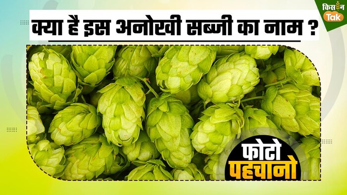 हॉप शूट्स है दुनिया की सबसे महंगी सब्जी