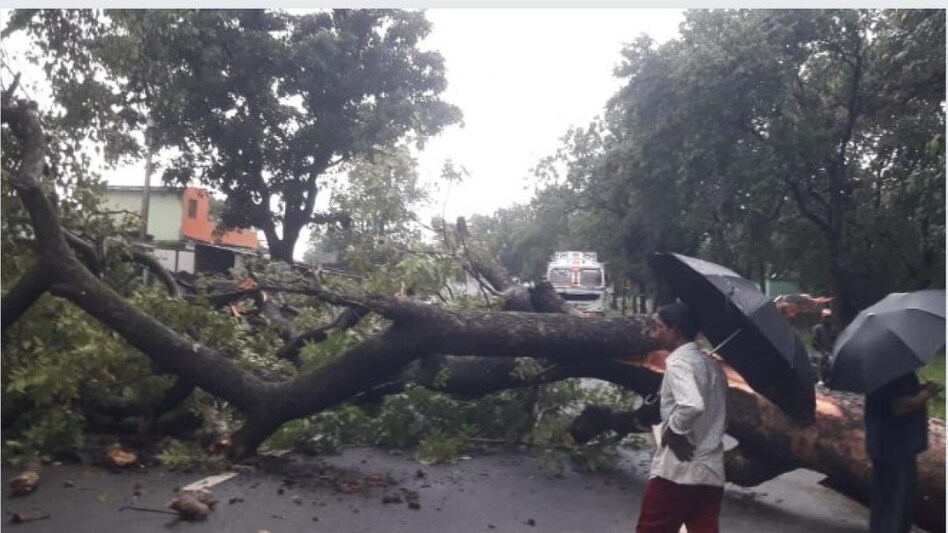 बंगाल की खाडी में बना लो प्रेशर एरिया, अगले तीन दिनों तक झारखंड में होगी झमाझम बारिश बंगाल की खाडी में बना लो प्रेशर एरिया, अगले तीन दिनों तक झारखंड में होगी झमाझम बारिश