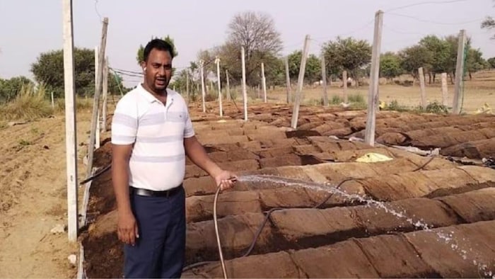 नौकरी छोड़कर वर्मी कंपोस्ट के बिजनेस कमा रहा हैं अच्छा मुनाफा ( फोटो आभार आजतक)