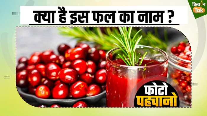 ऐसा फल जिसे सब्जी के रूप में खाते हैं, कई बीमारियां करता है दूर