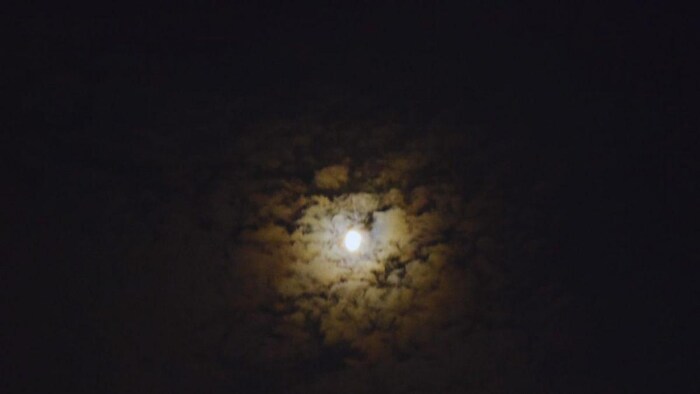 29 अक्टूबर को लगने वाला है साल का आखिरी चन्द्र ग्रहण: Photo Credit: Prachi Vatsa