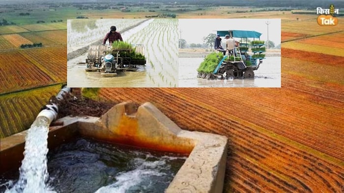 क्या धान की खेती बढ़ा रही है जल संकट?