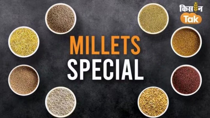 भारत के कितने राज्यों में होती है Millets की खेती