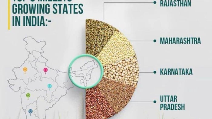 मिलेट्स की खेती को बढ़ावा देने वाले राज्यों में उत्पादन की वर्तमान स्थिति, फोटो: साभार, कृषि मंत्रालय