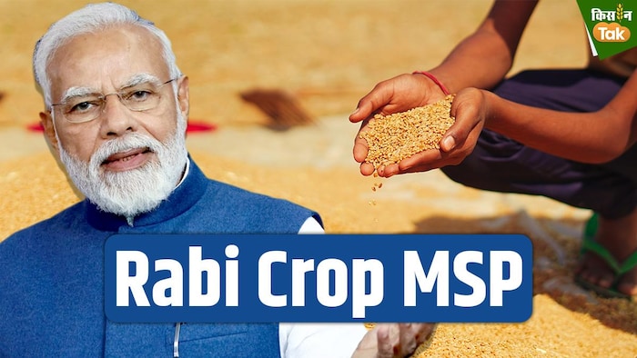 रबी फसलों की एमएसपी घोषित