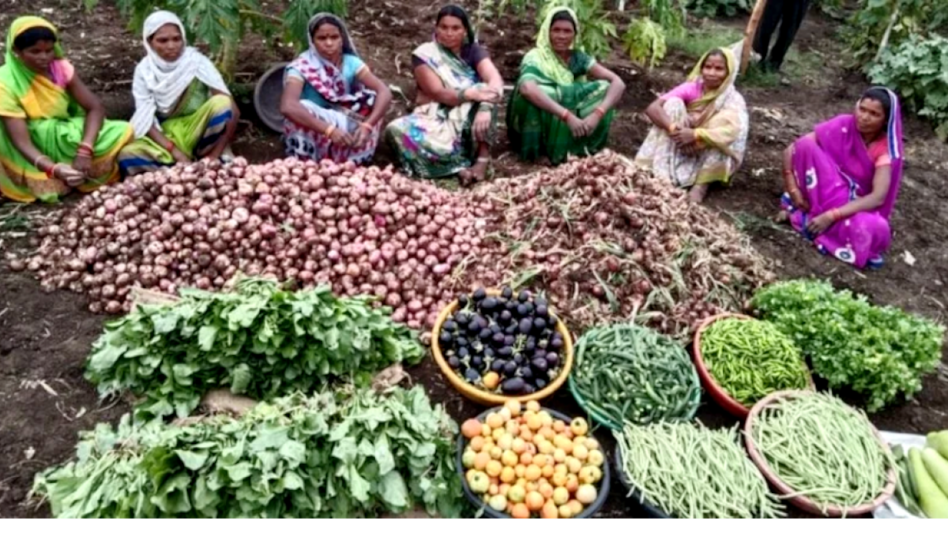 Poshan vatikas: पोषण वाटिका के माध्यम से पूरे साल मिलेंगे पोषक तत्वों से भरपूर फल और सब्जियां, एक्सपर्ट से जानें टिप्स Poshan vatikas: पोषण वाटिका के माध्यम से पूरे साल मिलेंगे पोषक तत्वों से भरपूर फल और सब्जियां, एक्सपर्ट से जानें टिप्स