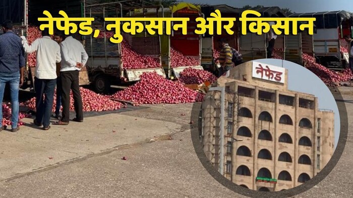 किसान या कंज्यूमर आखिर किसके लिए काम कर रहा नफेड (Photo-Kisan Tak).