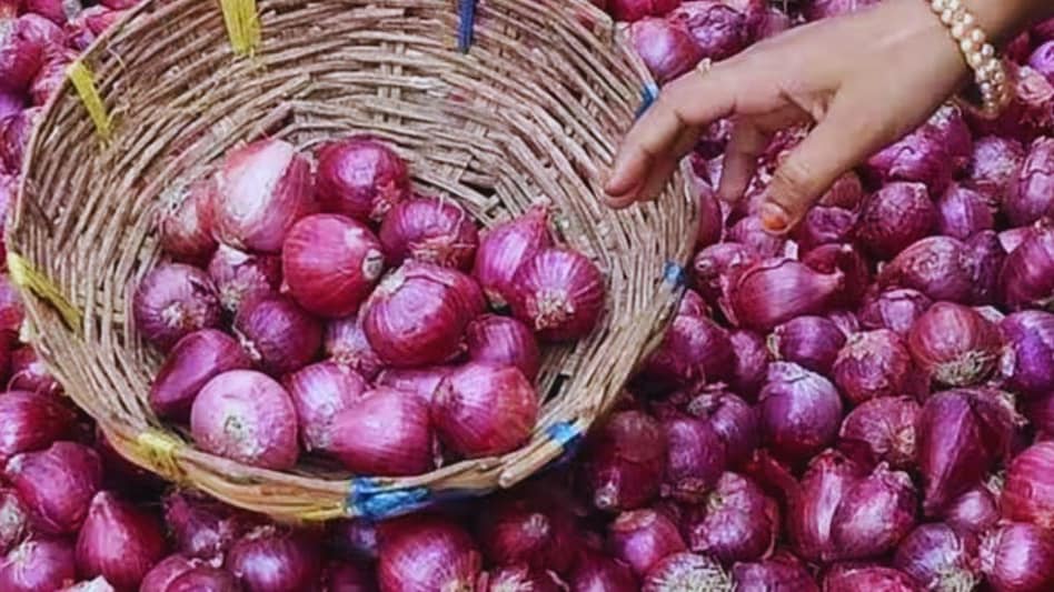 प्याज एक बार फिर लोगों को रुलाने के लिए है तैयार, आजादपुर मंडी में 60 के पार गई कीमत प्याज एक बार फिर लोगों को रुलाने के लिए है तैयार, आजादपुर मंडी में 60 के पार गई कीमत