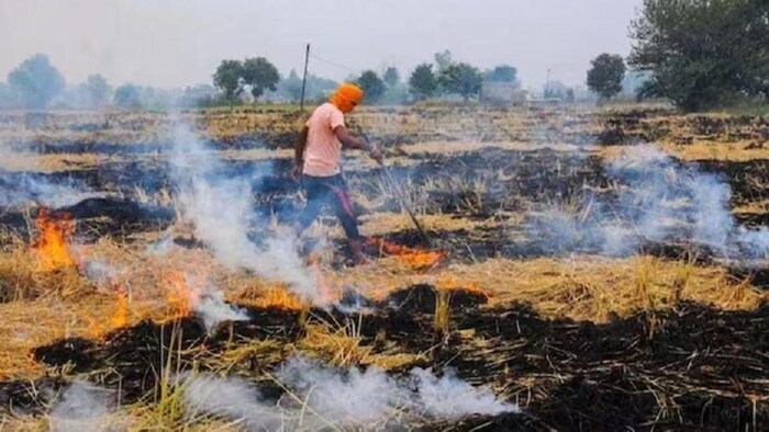 पराली जलाते पकड़े गए तो नहीं मिलेगा सरकारी स्कीम का लाभ