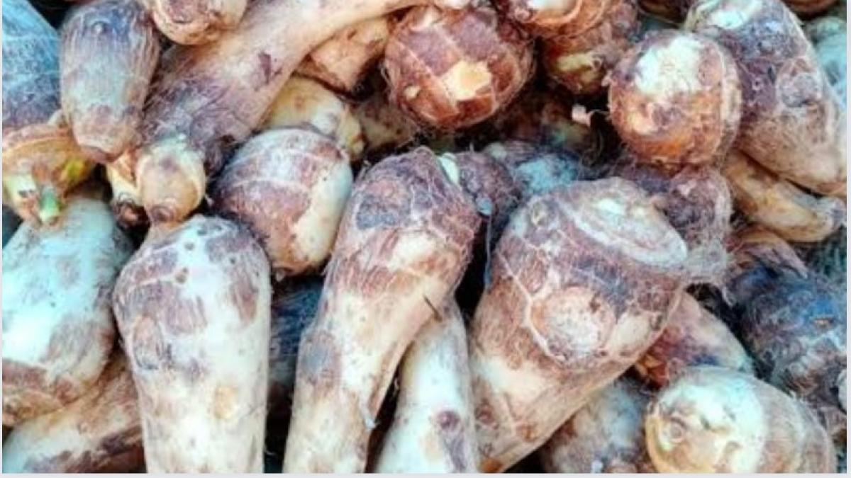 उत्तराखंड में बढ़ रही बागेश्वर के पिनालू और गडेरी की मांग, पढ़ें इन सब्जियों के सेवन के फायदे