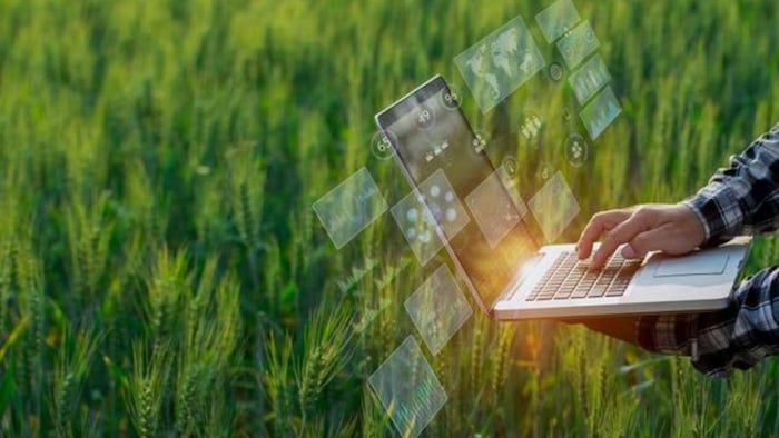 मेरी पॉलिसी मेरे हाथ' स्कीम, इससे किसानों को क्या होगा फायदा