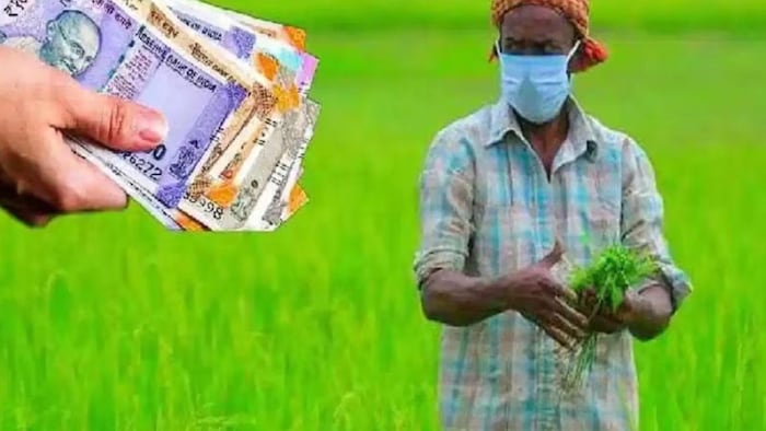 किसान इन 3 स्टेप्स से चेक कर सकते है प्रधानमंत्री किसान सम्मान निधि योजना का पैसा