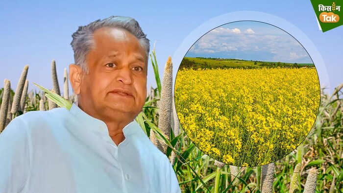 राजस्थान चुनाव में किसानों के मुद्दे (Photo-Kisan Tak).