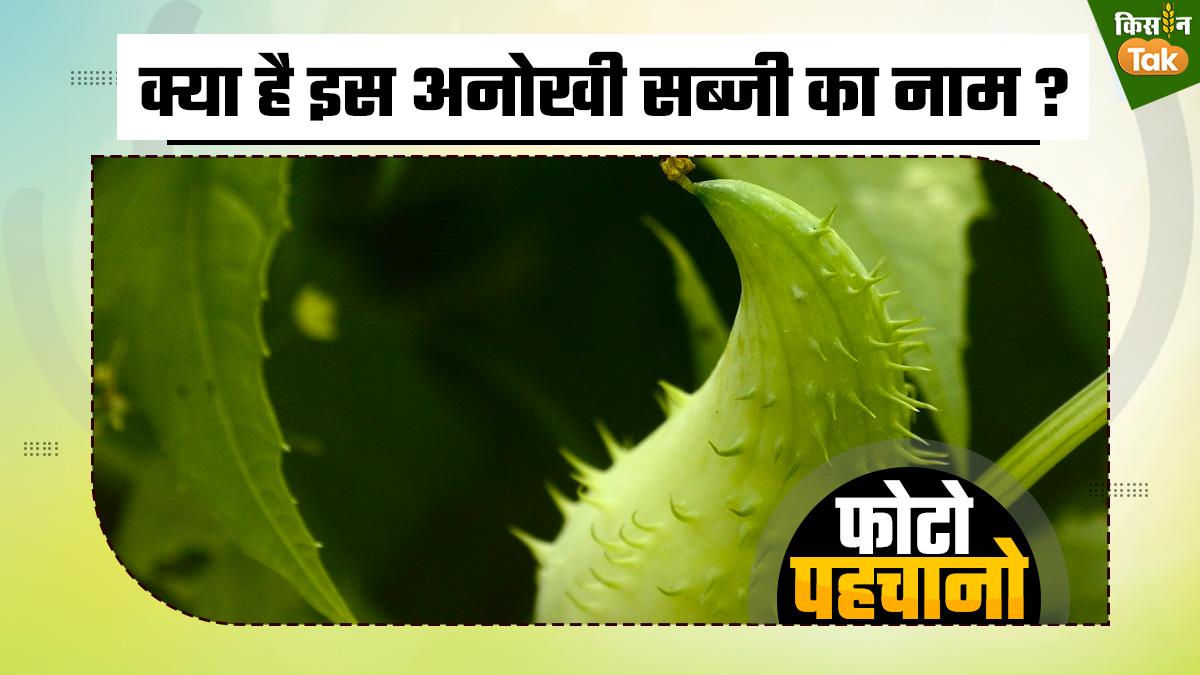 भगवान राम ने वनवास में खाई थी ये सब्जी