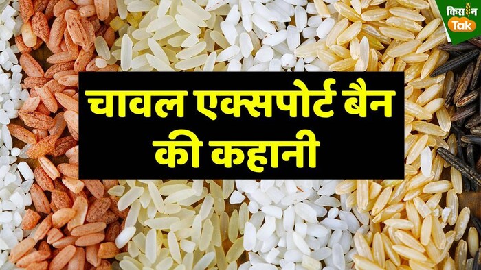 क्या महंगाई रोकने के लिए बैन किया गया चावल एक्सपोर्ट.