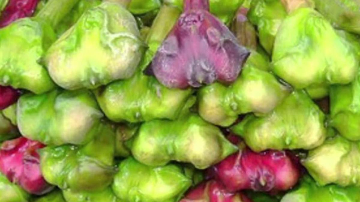 water chestnut: सिंघाड़ा कर देता है ब्लड प्रेशर को नॉर्मल, पोषक तत्वों से है भरपूर, जानें इसके फायदें