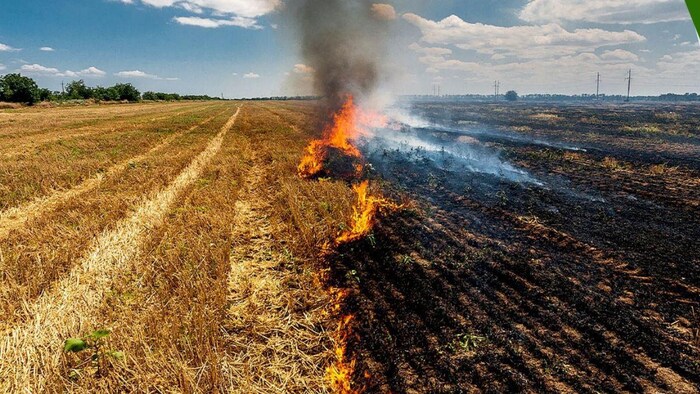 पराली जलाने के मुद्दे पर सरकार हुई सक्त तो किसानों ने भी दी चेतावनी