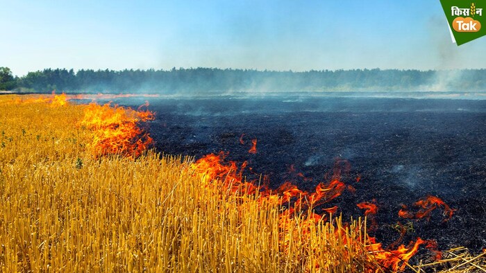 पराली जलाने के मामले बढ़ गए हैं (Photo-Kisan Tak).