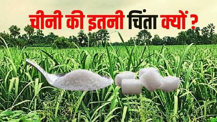चीनी के बढ़ते दाम ने रोका एक्सपोर्ट (Photo-Kisan Tak).