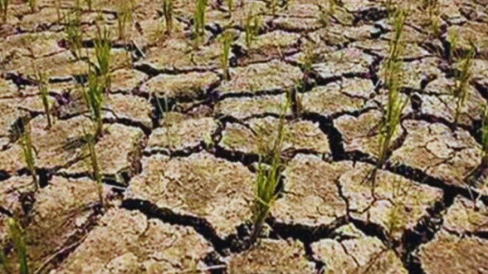 कर्नाटक में और 22 तालुका सूखाग्रस्त घोषित