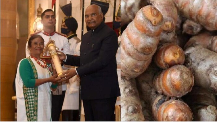 मखीर अदरक को बढ़ावा देगी पद्मश्री त्रिनिती साइउ फोटोः सोशल मीडिया