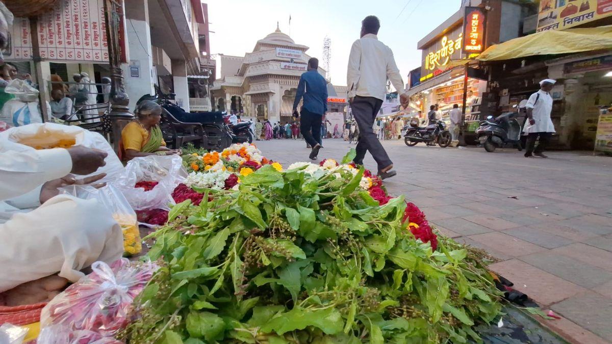 पंढरपुर में होती है बड़े पैमाने पर तुसली की खेती